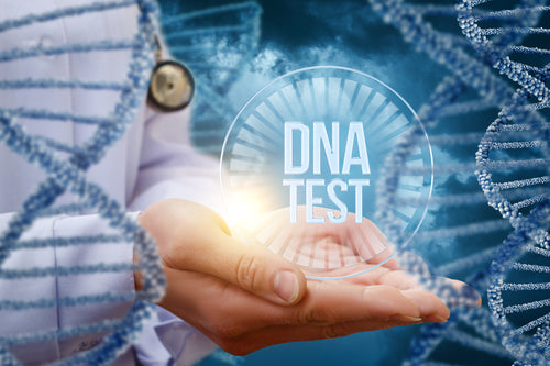 DNA-ANALYSE (Mit online Einführung)